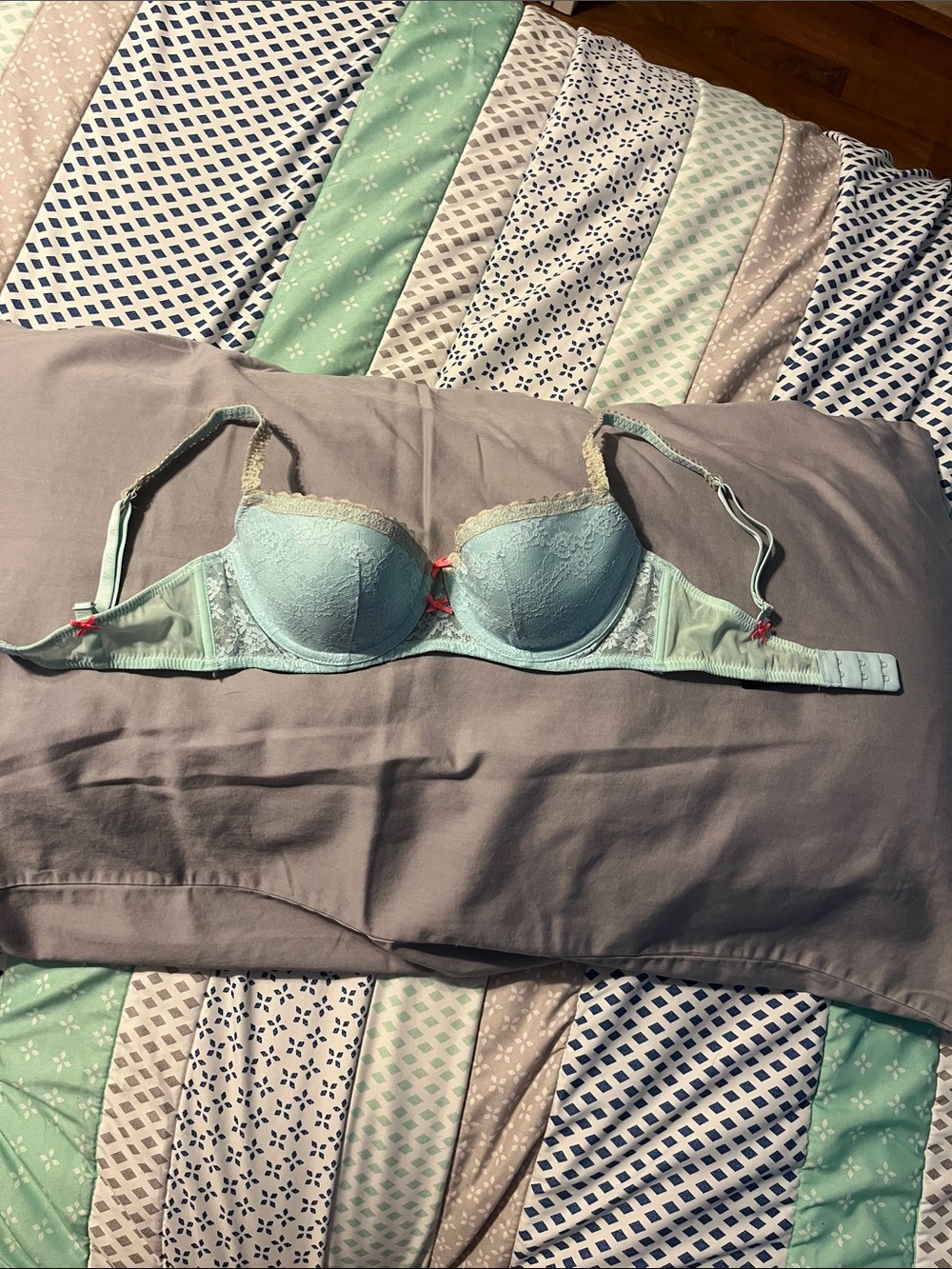 Heidi Klum Intimates Mint Lace Push-Up Bra with Cream Trim